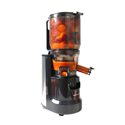 Hands Free Self Feeding Batch Juicer With Heavy Duty Motor -BJ15