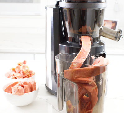 Hands Free Self Feeding Batch Juicer With Heavy Duty Motor -BJ15