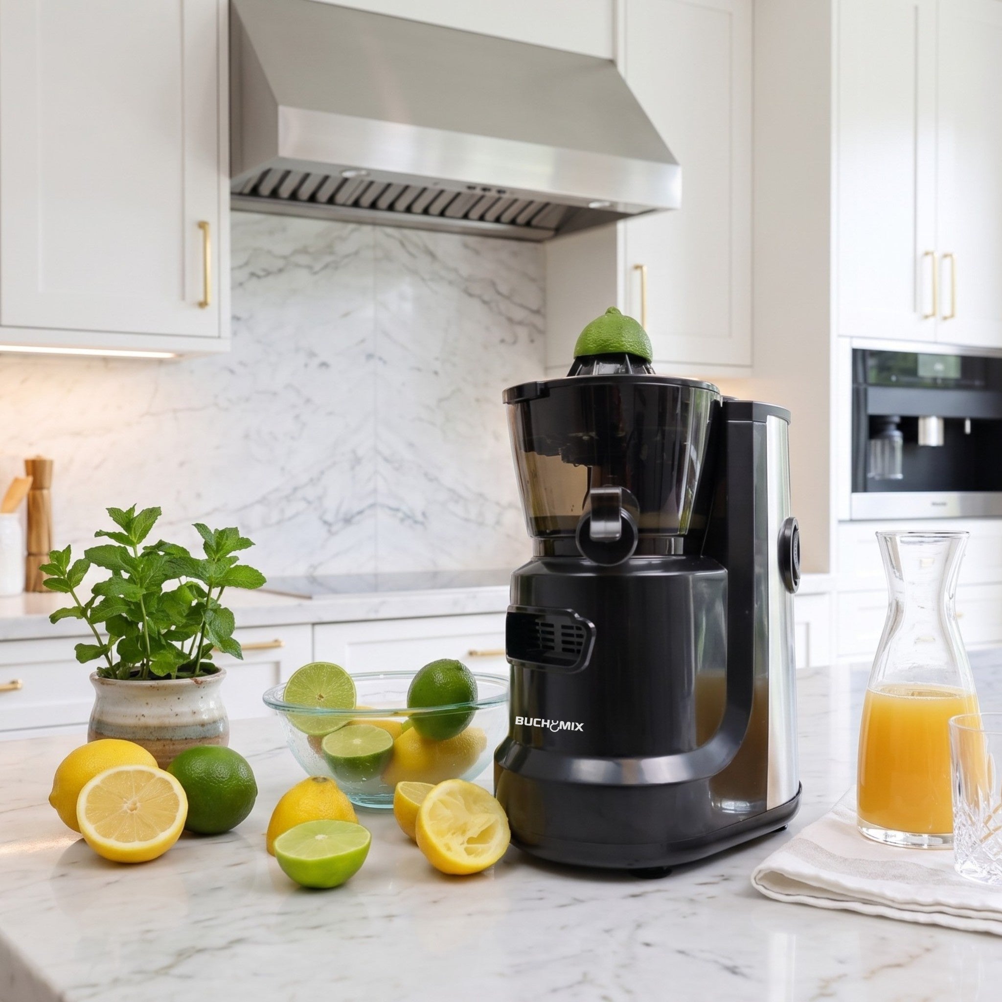 Hands Free Self Feeding Batch Juicer With Heavy Duty Motor -BJ15